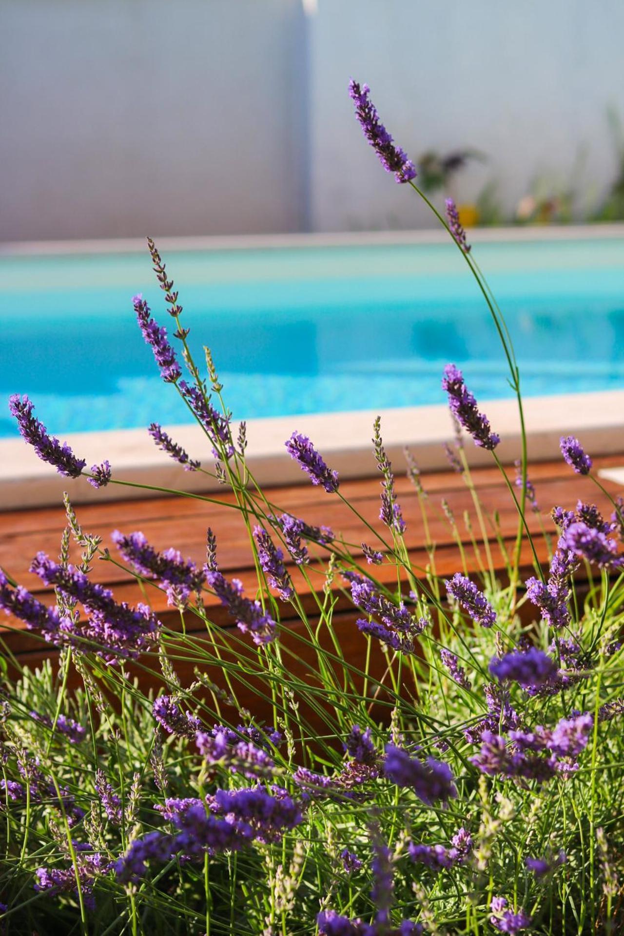 Villa My Rose With A Private Pool มลินี ภายนอก รูปภาพ